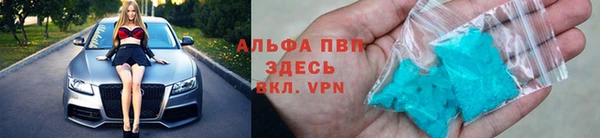 хмурый Алексин