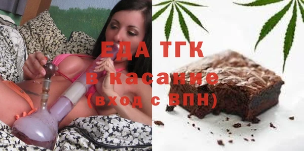 хмурый Алексин