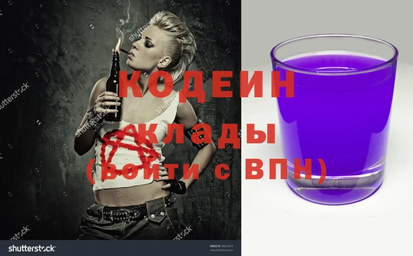 хмурый Алексин