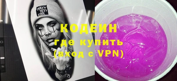 хмурый Алексин
