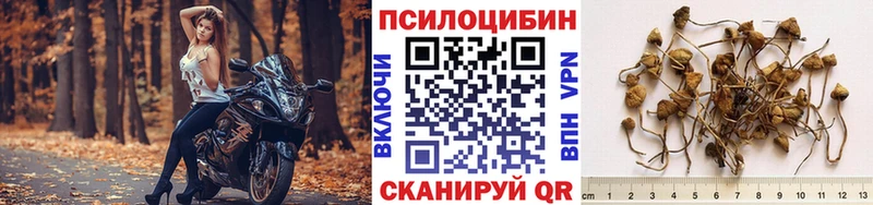 мега ссылка  Новомосковск  Псилоцибиновые грибы ЛСД 